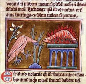 Phoenix Poll, Free Story