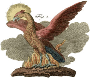 Phoenix Poll Free Story